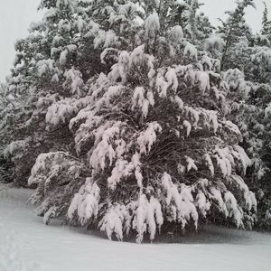 Meet your Posher, Wanda